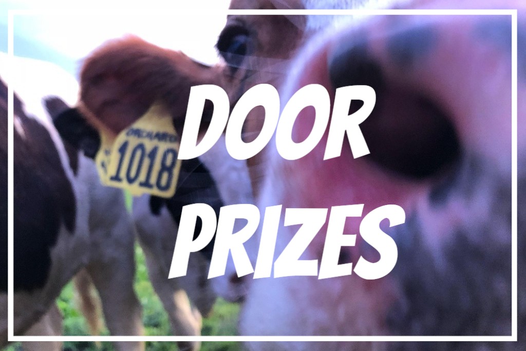 door-prizes