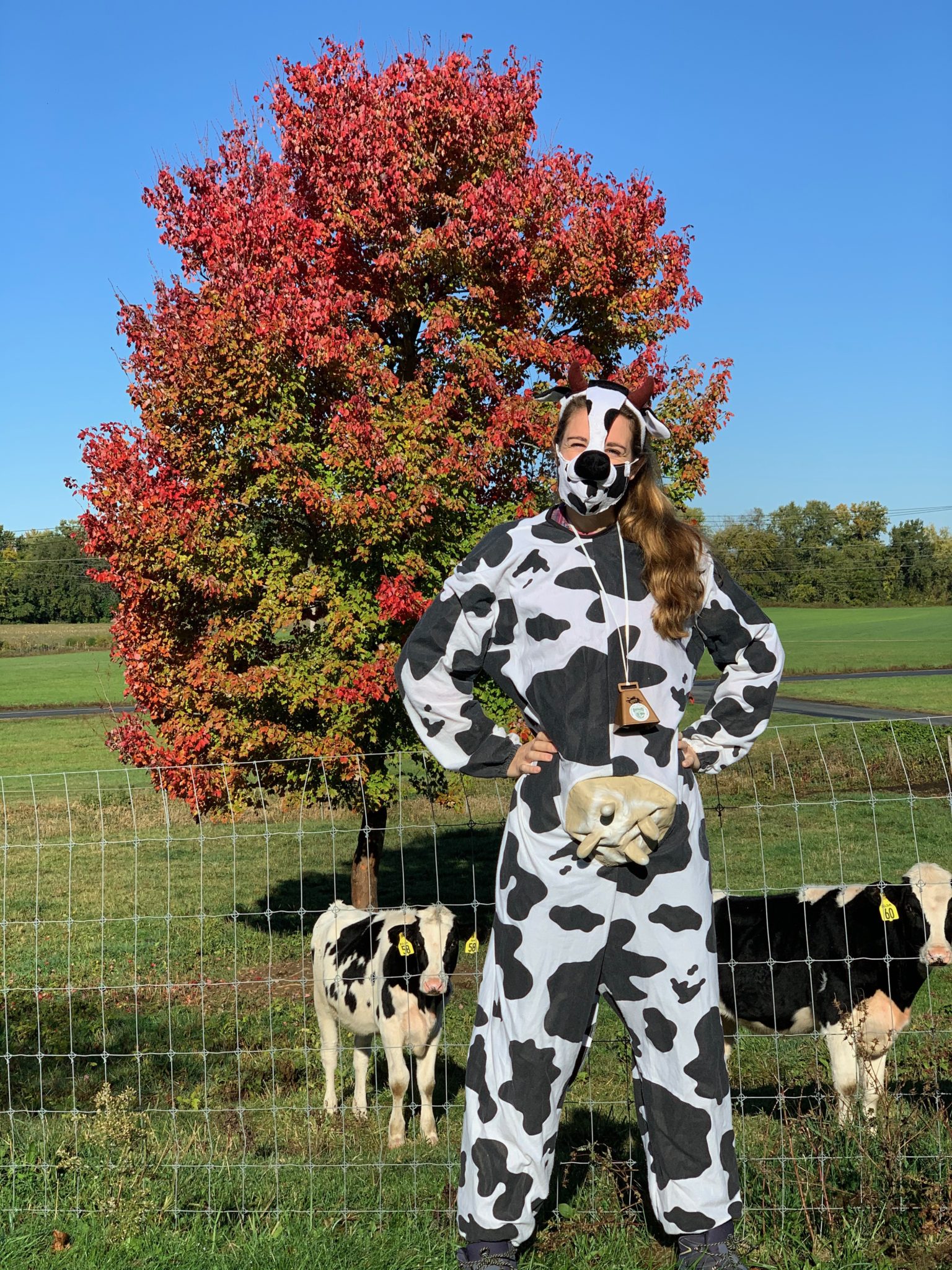 Happy Halloween! Barstow's Dairy Store and Bakery