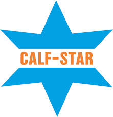 calf star