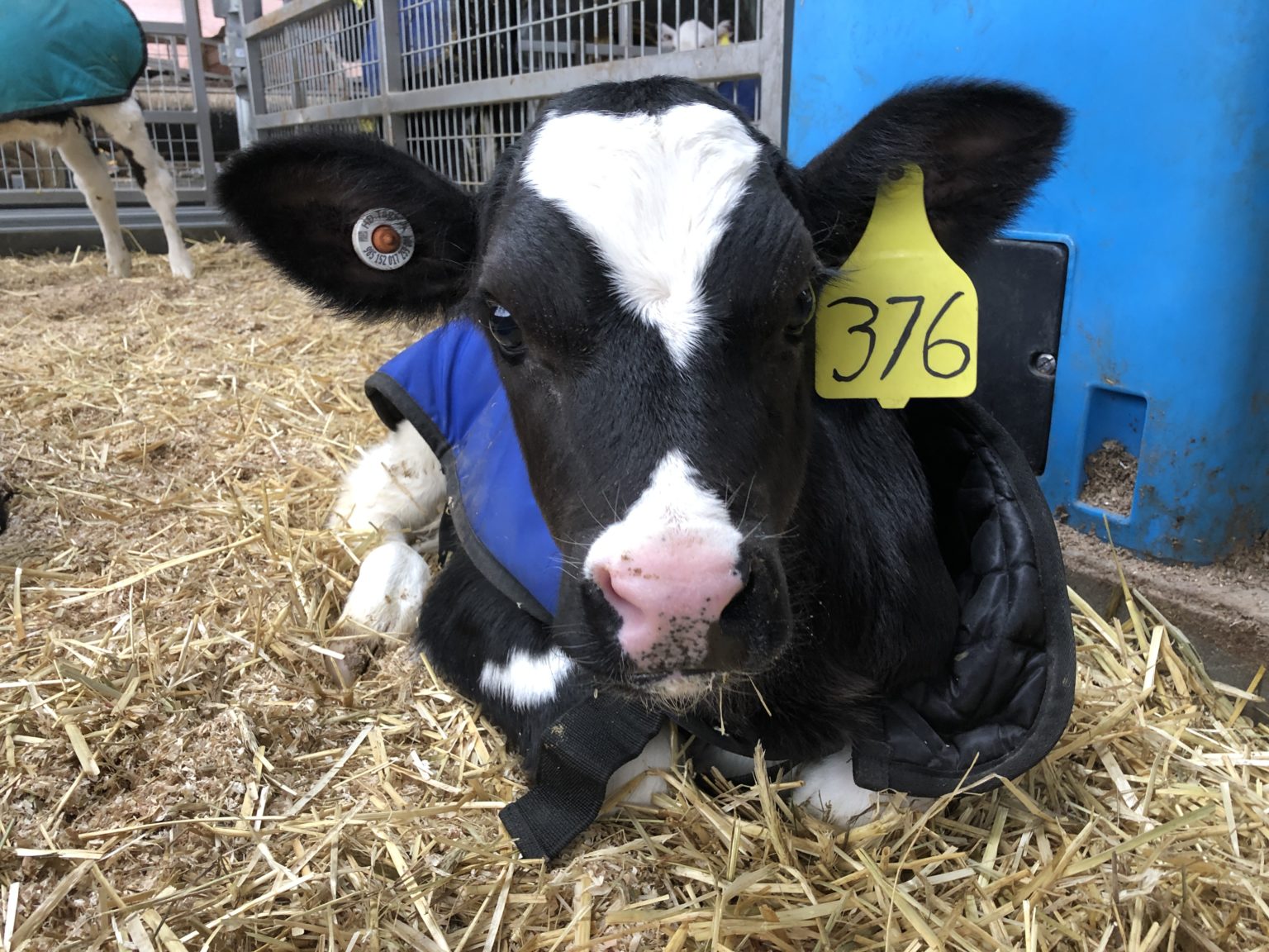 Barstow's Dairy Store and Bakery Absolutely Local, Absolutely Delicious